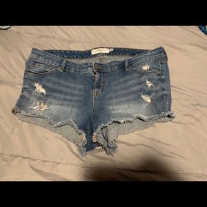 Torrid shorts